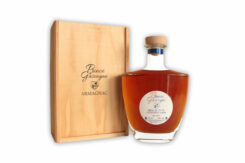 Armanjakas Prince de Gascogne 20 ans