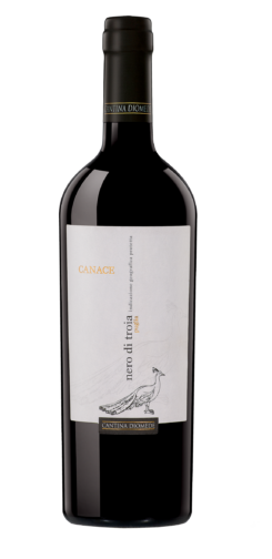 CANTINA DIOMEDE  Canace Nero di Troia Puglia I.G.P.