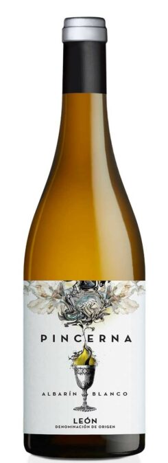 PINCERNA AlbarIn White