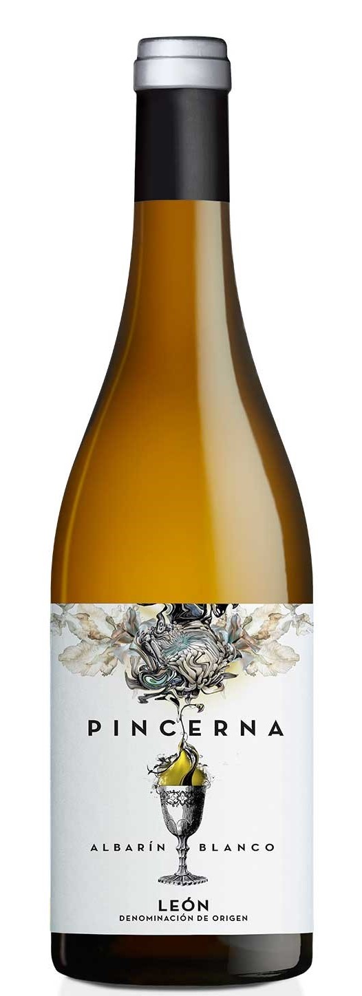 PINCERNA AlbarIn White