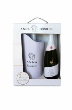 CODORNIU Anna Brut Cava D.O. 2 butelių rinkinys su ledo kibiru