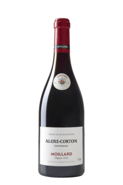 MOILLARD Aloxe Corton