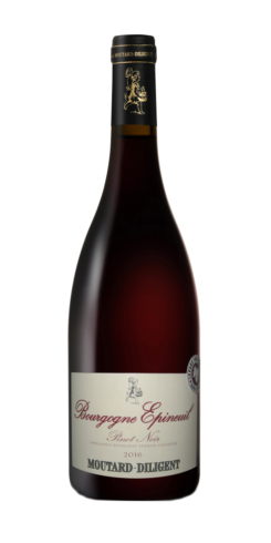 MOUTARD  Bourgogne Epineuil