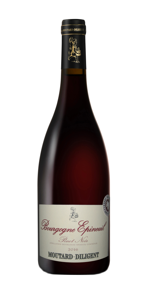 MOUTARD Bourgogne Epineuil