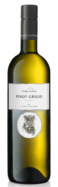 ALOIS LAGEDER Terra Alpina Pinot Grigio Dolomiti IGT ECO
