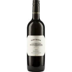 SEPP MOSER Zweigelt Ried Hedwighof ECO BIO